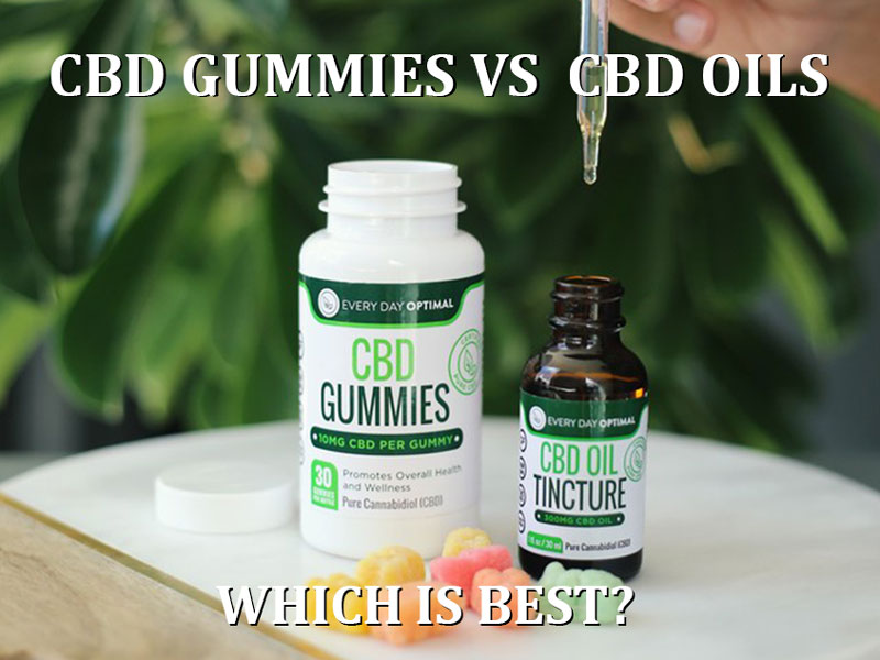CBD Gummies vs Oils, Which Is Best For Pain, Anxiety, And More?