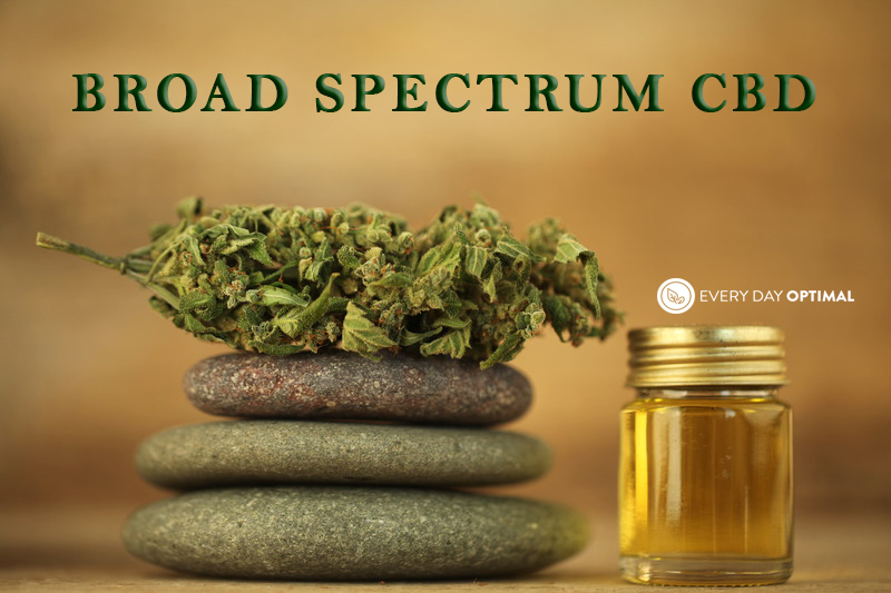 What is Broad Spectrum CBD? All Your Questions Answered | EDO CBD