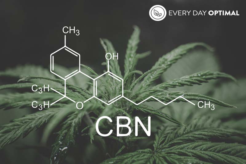 CBD vs CBN