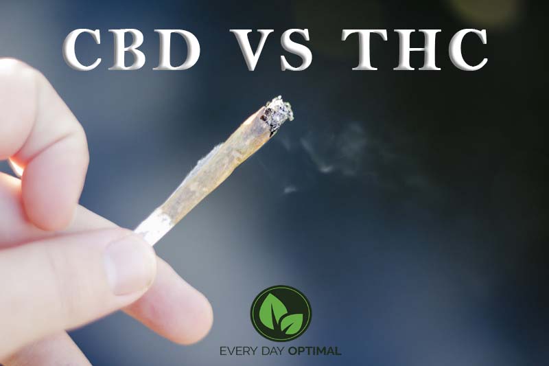 CBD vs THC for Anxiety