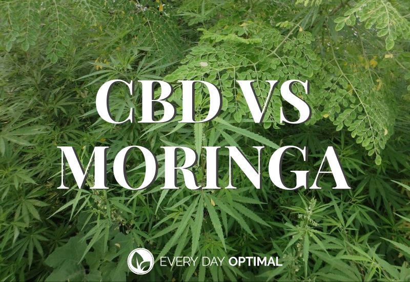 Comparing CBD vs Moringa: Which is Best? | EDO CBD