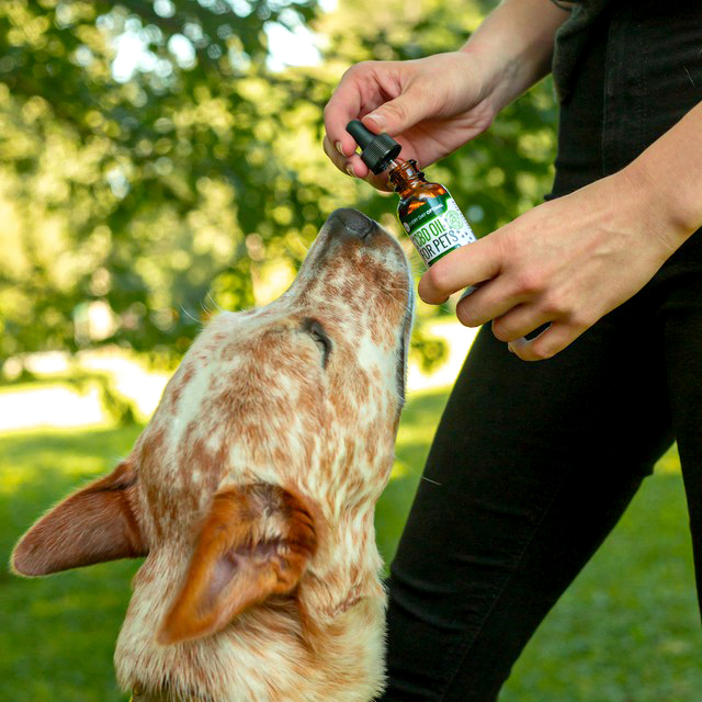 CBD for Pets Category