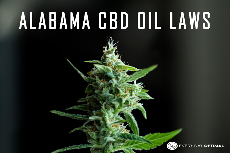 Buying CBD Oil In Alabama- State Laws and Regulations | EDO CBD
