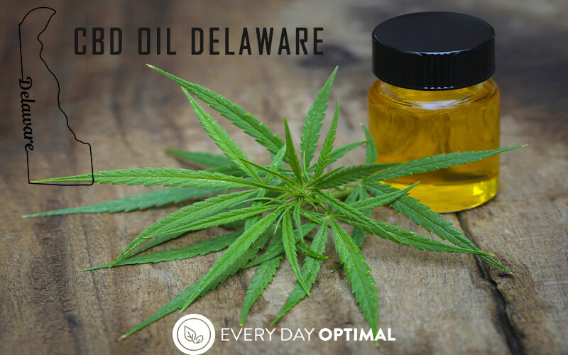 Buy CBD Oil In Delaware- The First State In The Union – Laws and Regs | EDO CBD