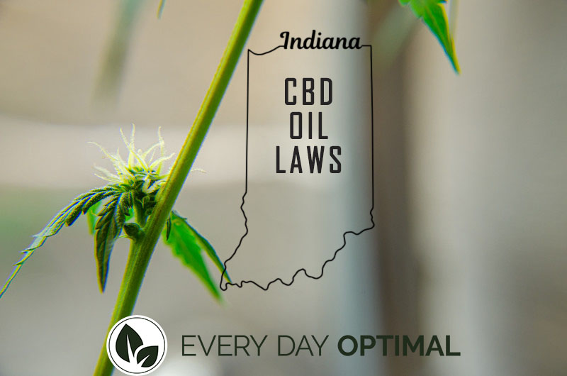 Buying CBD Oil In Indiana, Laws and Regulations