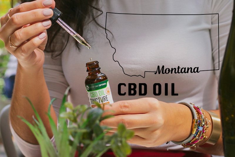 CBD Oil Laws in Montana: Here is What You Need to Know | EDO CBD