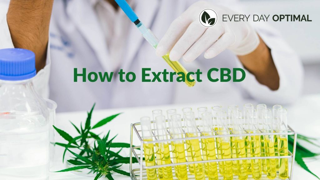 How to Extract CBD | EDO CBD